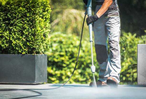 Best Gutter Cleaning  in La Conner, WA